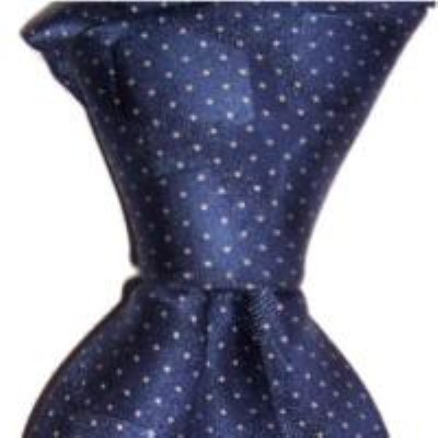 Cadouri : cravata matase naturala model M34